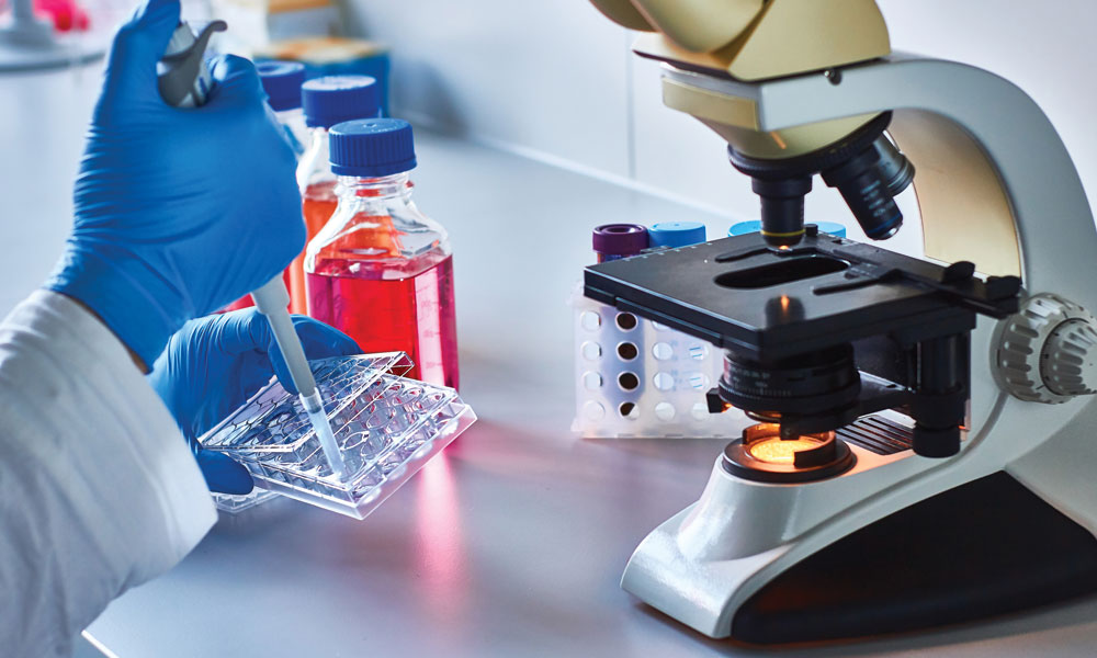 Institute of Cancer Research and Imperial College