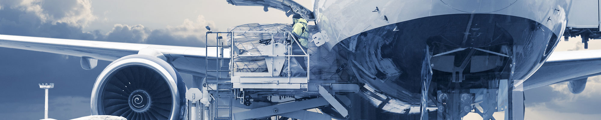 Speedcargo cargo mind image