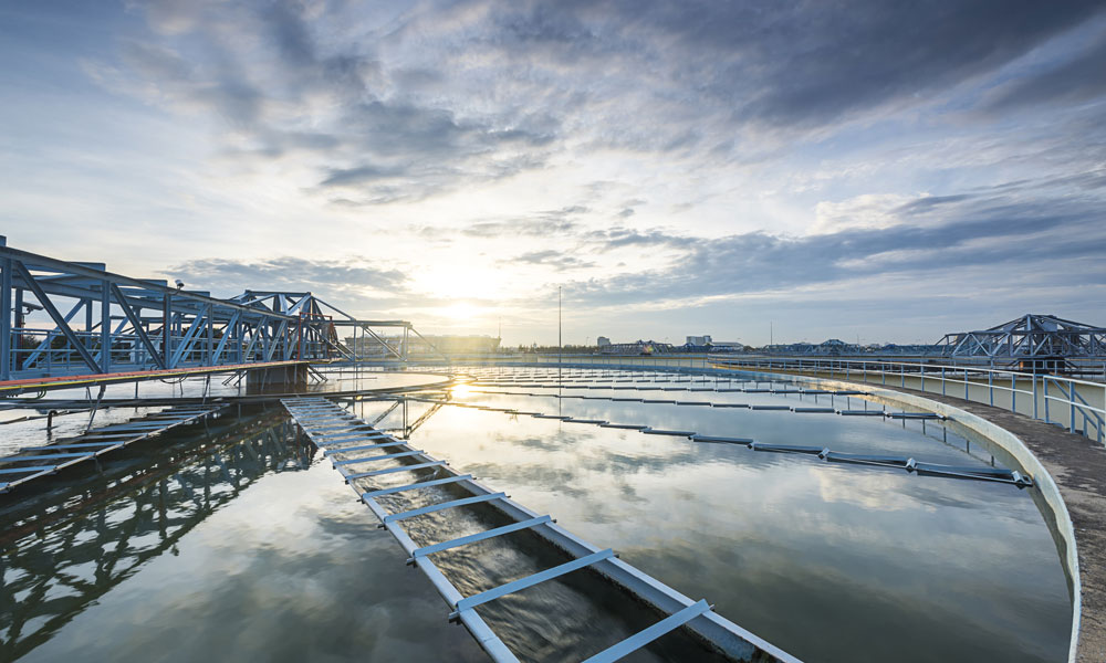 Sutton and East Surrey Water